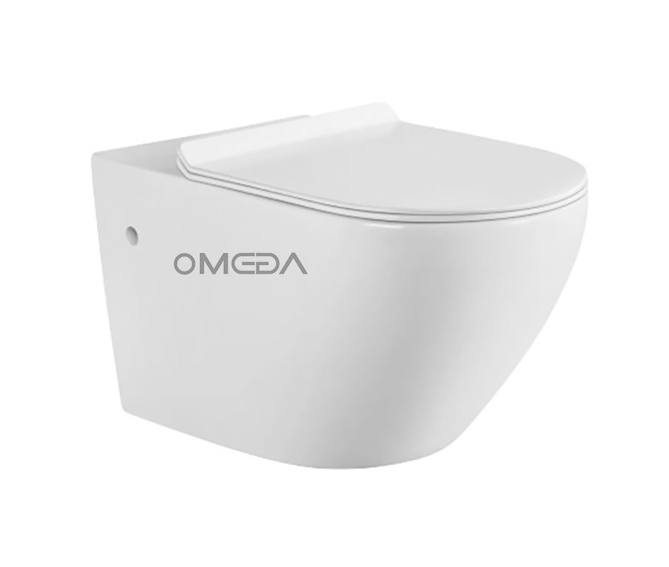 Ceramic Wall-Mounted Toilet