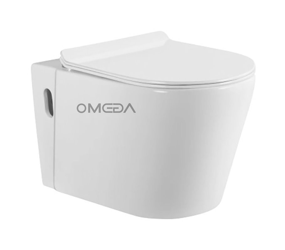 Wall-Hung Ceramic Toilet Systems